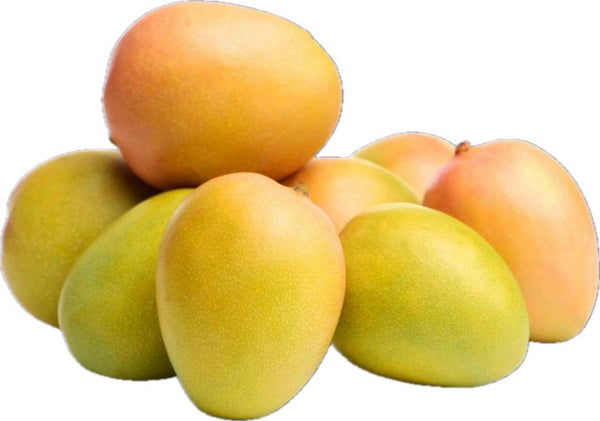 Anwer Ratol mangoes Online Shop For Pakistani Mangoes In UAE