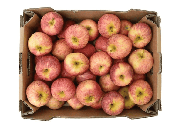 Apple Royal Gala Box