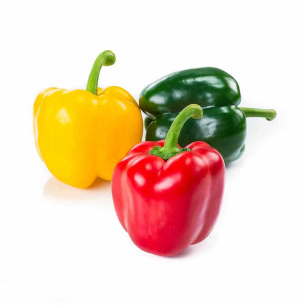 Shop Capsicum Mix (Red, Yellow, Green) in UAE (Dubai, Sharjah, Abu Dhabi, Ajman) - FruitsBox.ae