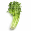 Shop Celery in UAE (Dubai, Sharjah, Abu Dhabi, Ajman) - FruitsBox.ae