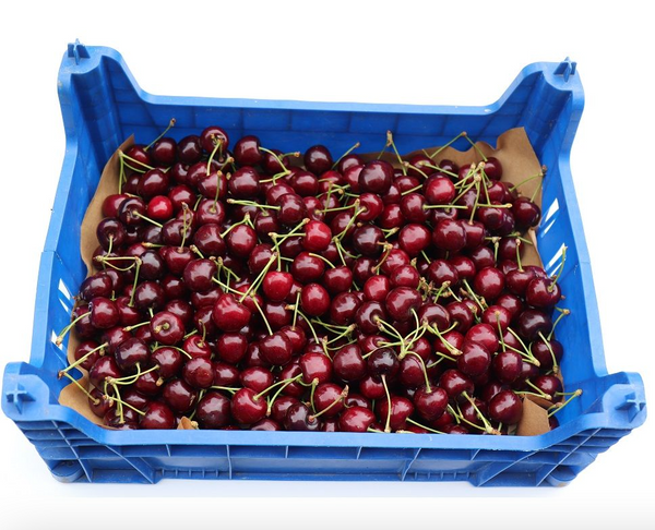 Cherry Box 2Kg