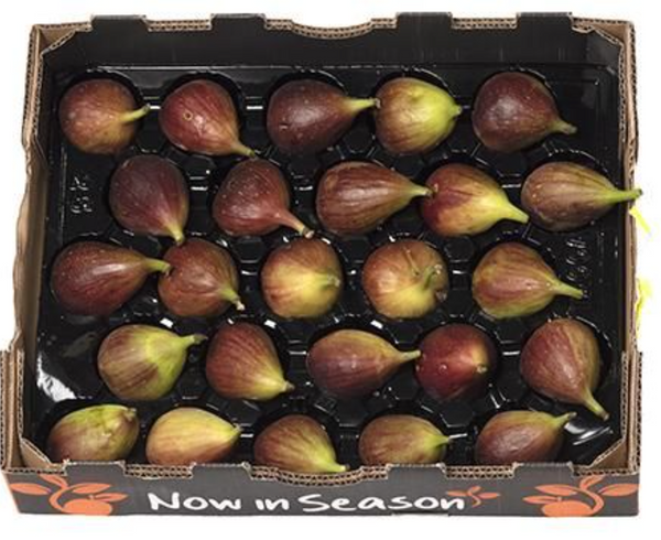 Fig Box