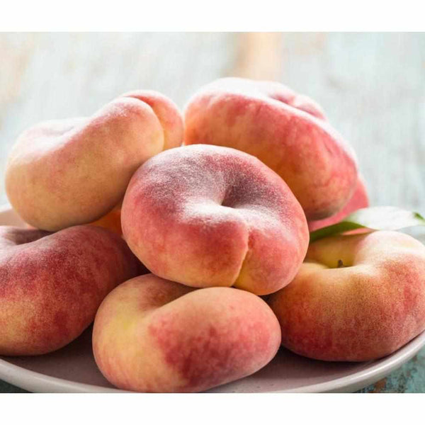 Flat Peaches - Pack-Fruits-Greece-0.5 kg-FruitsBox.ae