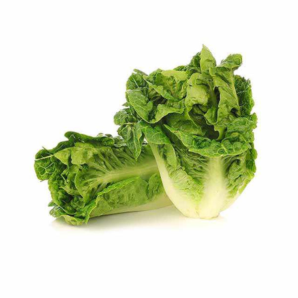 Shop Lettuce Gem in UAE (Dubai, Sharjah, Abu Dhabi, Ajman) - FruitsBox.ae