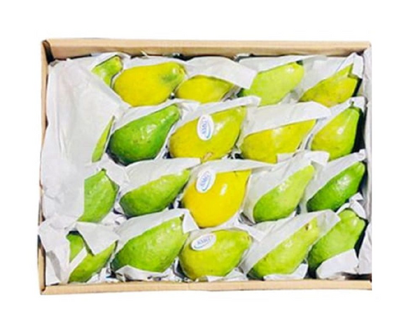 Guava Box