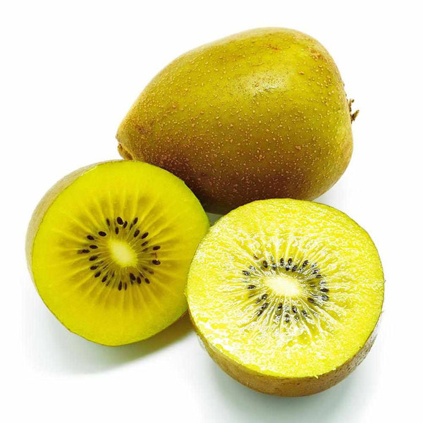 Shop Kiwi Golden in UAE (Dubai, Sharjah, Abu Dhabi, Ajman) - FruitsBox.ae