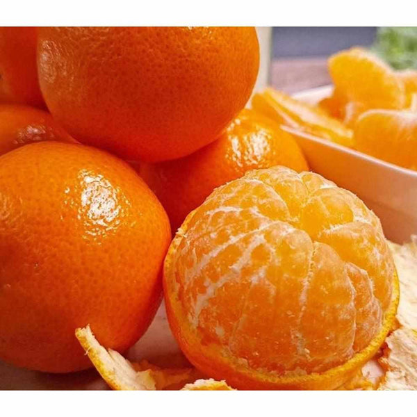 Shop Mandarin in UAE (Dubai, Sharjah, Abu Dhabi, Ajman) - FruitsBox.ae