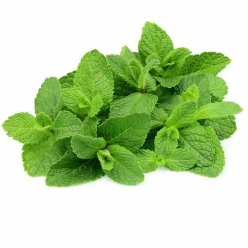 Shop Mint Leaves in UAE (Dubai, Sharjah, Abu Dhabi, Ajman) - FruitsBox.ae