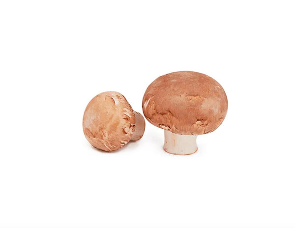 Shop Brown Mushroom in UAE (Dubai, Sharjah, Abu Dhabi, Ajman) - FruitsBox.ae