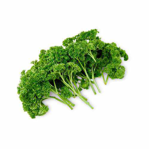 English Parsley-Vegetables-Italy-1 kg-FruitsBox.ae