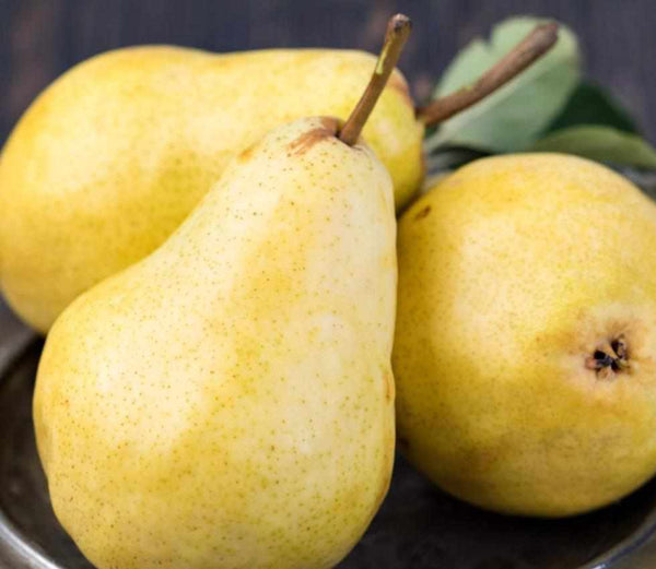 Shop Pears Ya in UAE (Dubai, Sharjah, Abu Dhabi, Ajman) - FruitsBox.ae