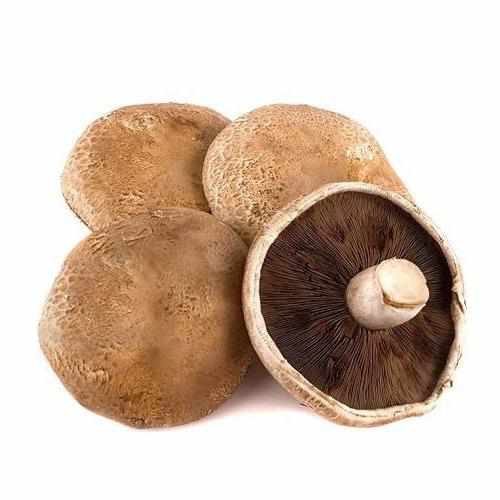 Shop Portobello Mushroom in UAE (Dubai, Sharjah, Abu Dhabi, Ajman) - FruitsBox.ae