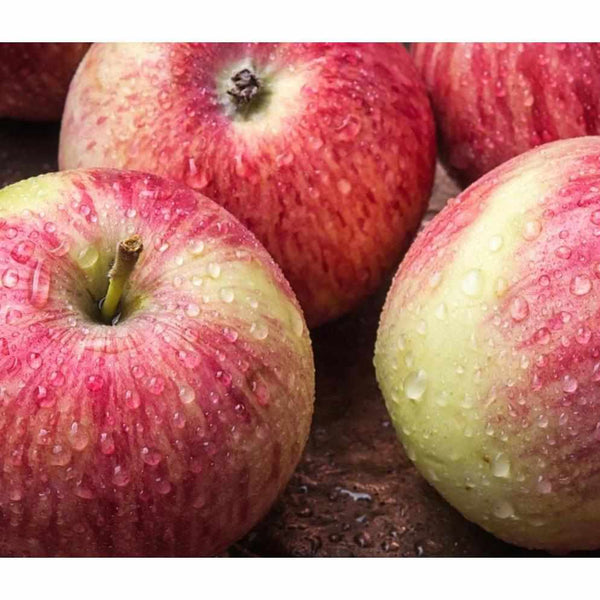 Shop Royal Gala Apple in UAE (Dubai, Sharjah, Abu Dhabi, Ajman) - FruitsBox.ae