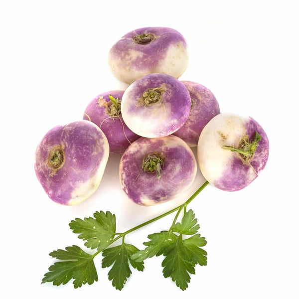 Shop Turnip in UAE (Dubai, Sharjah, Abu Dhabi, Ajman) - FruitsBox.ae