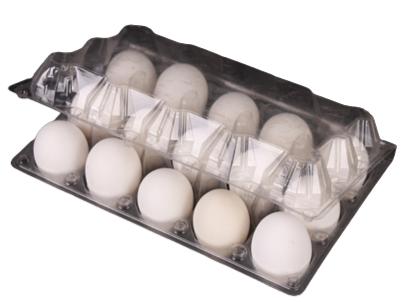 Shop Eggs White in UAE (Dubai, Sharjah, Abu Dhabi, Ajman) - FruitsBox.ae