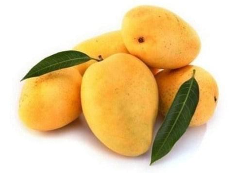 Alphonso Mangoes 1kg