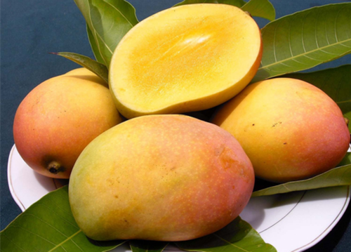 Buy Rajapuri Mango online in Dubai, Sharjah, Ajman, Abu Dhabi - FruitsBox UAE